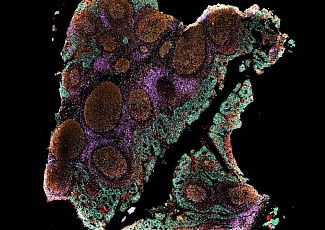 Компания Singular Genomics представляет пространственный секвенатор G4X